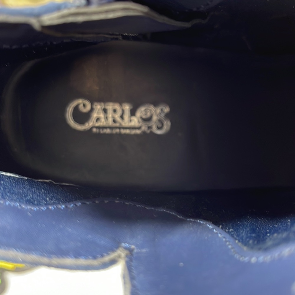 “Vivien” Embroidered Ankle Boots By Carlos Santana - Nwt View 3